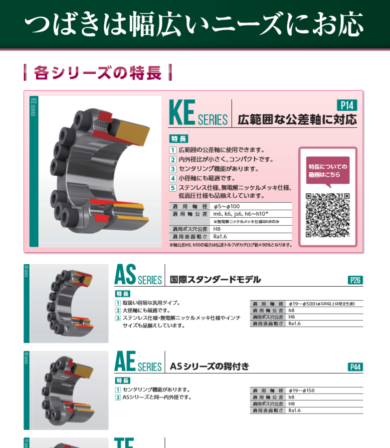 TSUBAKI椿本動(dòng)力鎖型號(hào)PL080X120AD-N