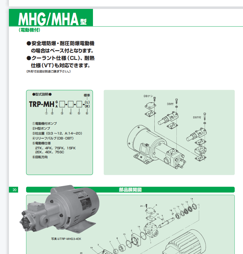 泰拉爾泵型號：TRP-MHG10-DBT-65FKC-CVM...